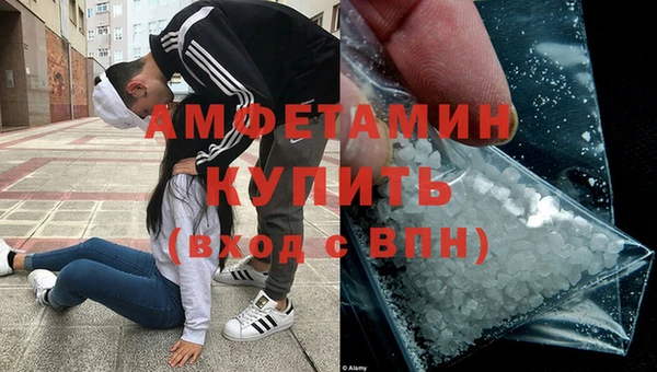 гидра Бородино