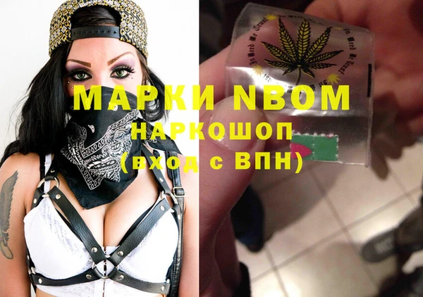гидра Бородино