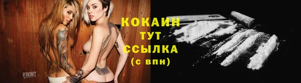 твердый Богородск