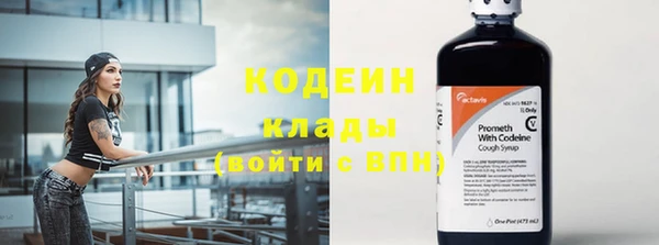гидра Бородино