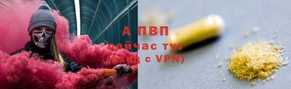 гидра Бородино