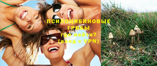 2c-b Бронницы