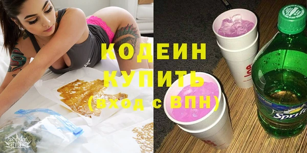 гидра Бородино