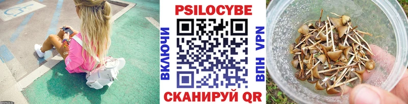 Купить Белоусово Псилоцибиновые грибы Psilocybe